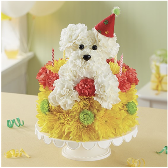 Screen_Shot_2022-04-12_at_9.32.52_PM