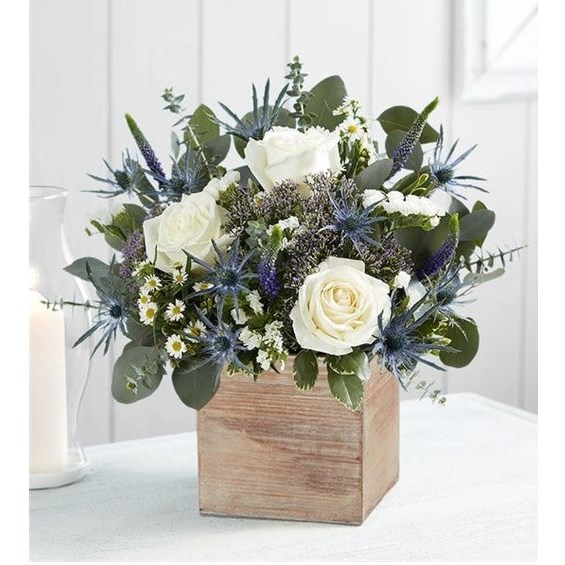 Screenshot_2022-04-14_130445