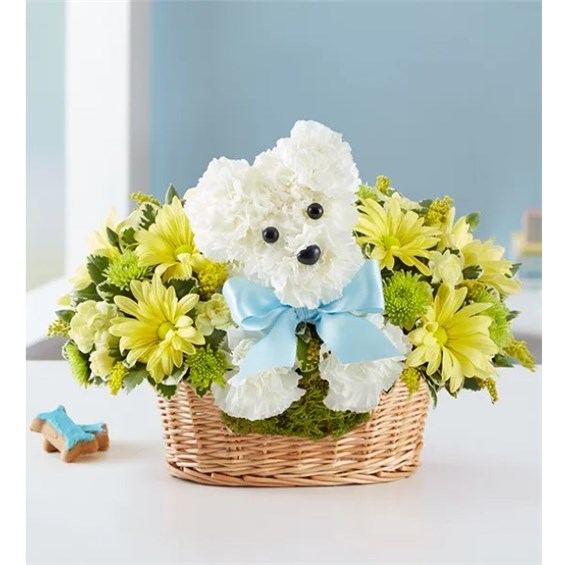 Screenshot_2022-04-19_072648