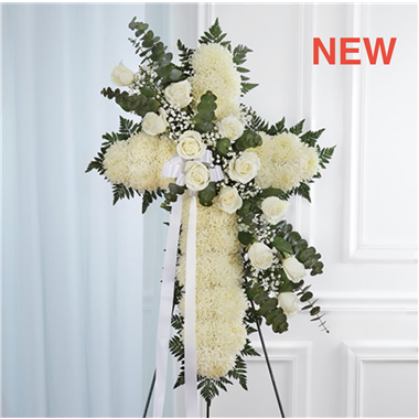 Screen_Shot_2022-04-11_at_10.06.03_PM