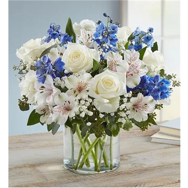 Screenshot_2022-04-14_135130