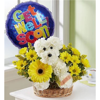 Screenshot_2022-04-19_071403