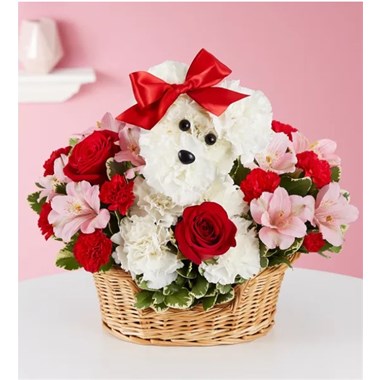 Screenshot_2022-04-19_071738