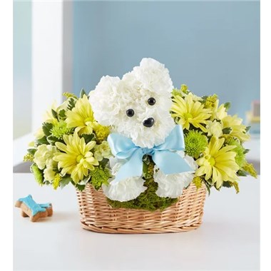 Screenshot_2022-04-19_072648