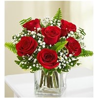 Screenshot_2022-04-13_133554