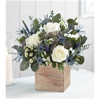 Screenshot_2022-04-14_130445