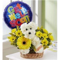 Screenshot_2022-04-19_071403