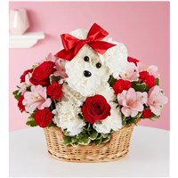 Screenshot_2022-04-19_071738