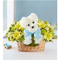 Screenshot_2022-04-19_072648