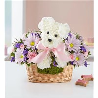 Screenshot_2022-04-19_073159